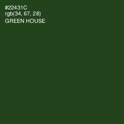 #22431C - Green House Color Image